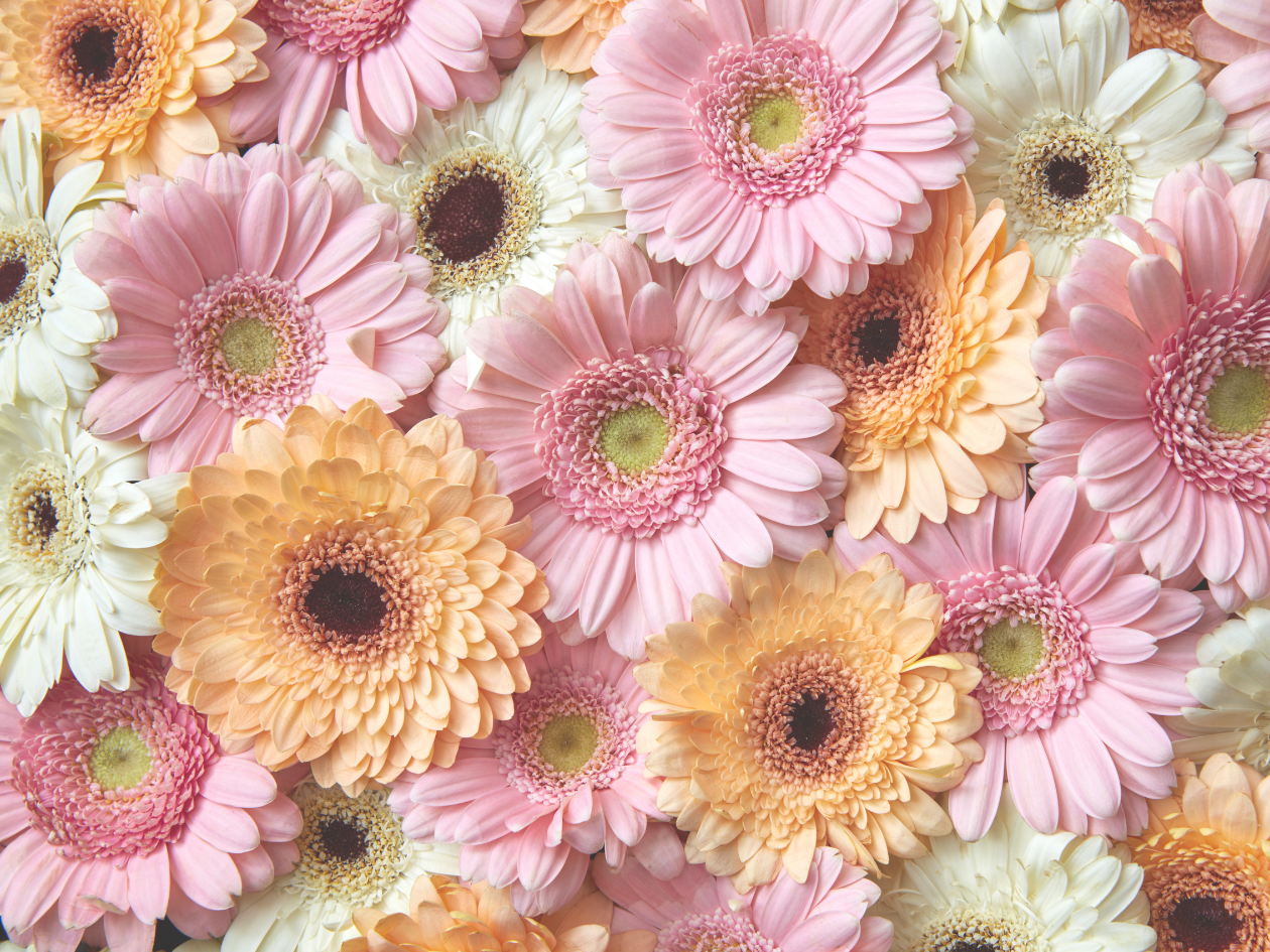 Floral Notes