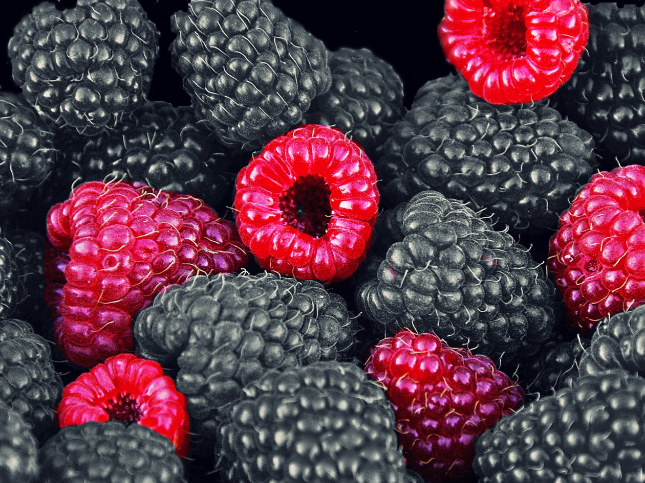 Fruity Notes
