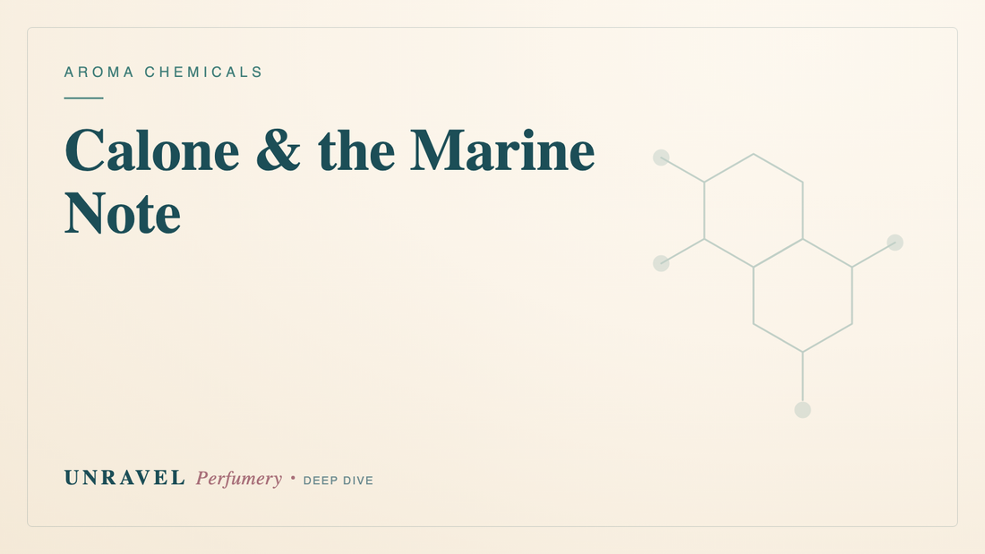Calone & the Marine Note: How Perfumers Bottled the Smell of the Sea — Unravel Perfumery