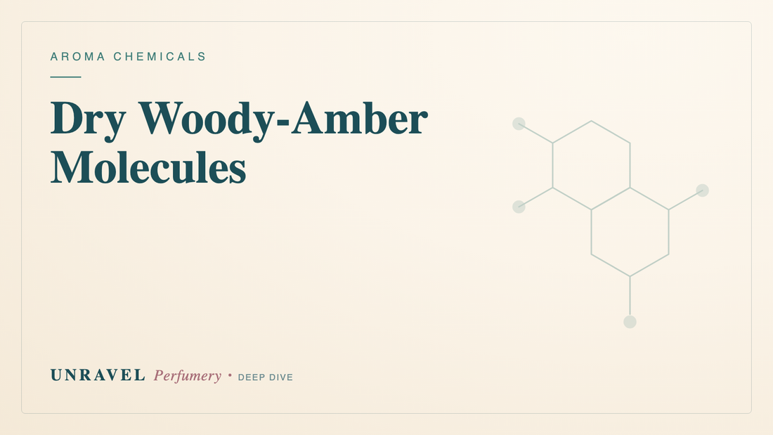 Dry Woody-Amber Molecules: The Powerhouse Behind Modern Amber Scents — Unravel Perfumery