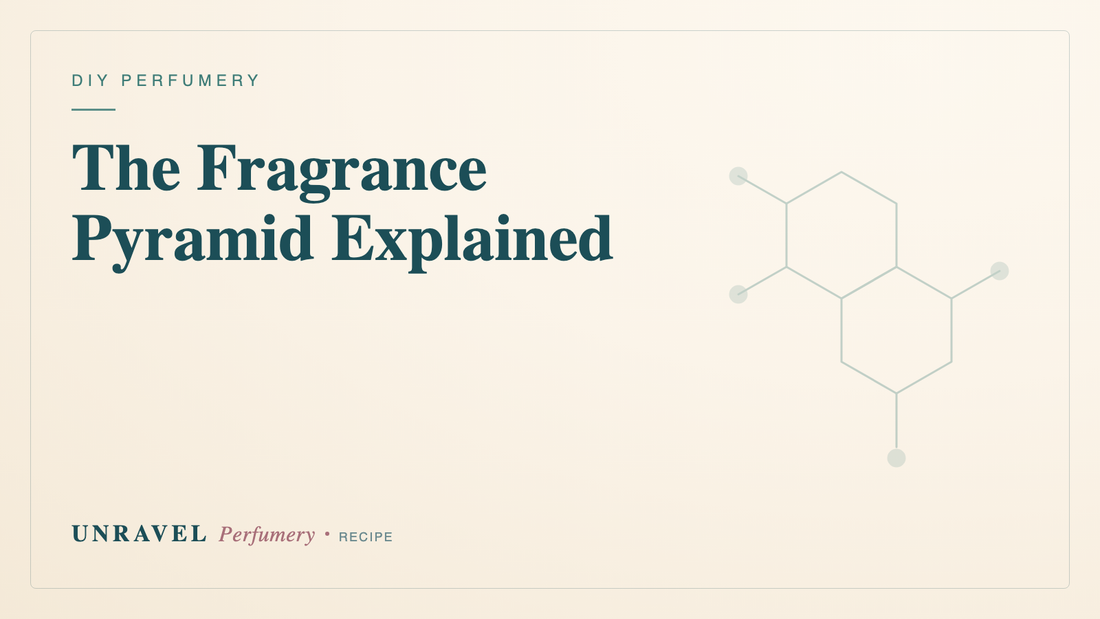 The Fragrance Pyramid Explained: Top, Heart & Base Notes — Unravel Perfumery