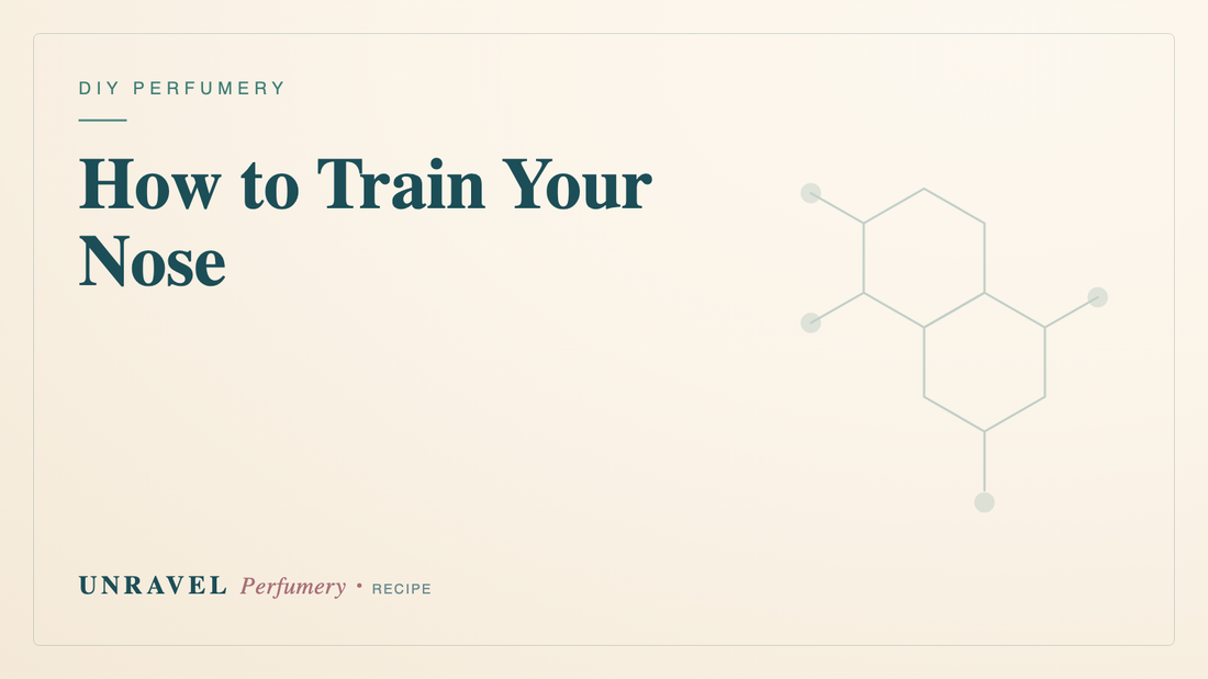 How to Train Your Nose: A Beginner Perfumer's Smelling Practice — Unravel Perfumery