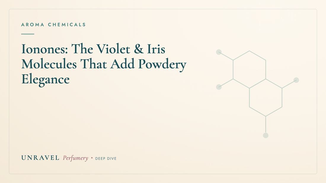 Ionones: The Violet & Iris Molecules That Add Powdery Elegance — Unravel Perfumery
