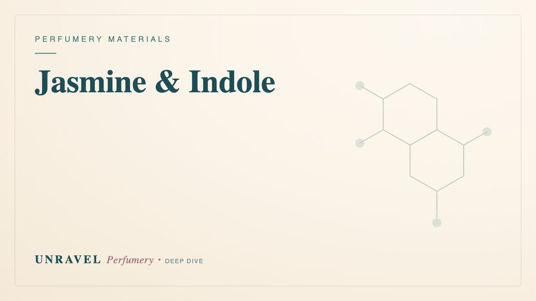 Jasmine & Indole: The Beautiful Dark Side of White Florals — Unravel Perfumery