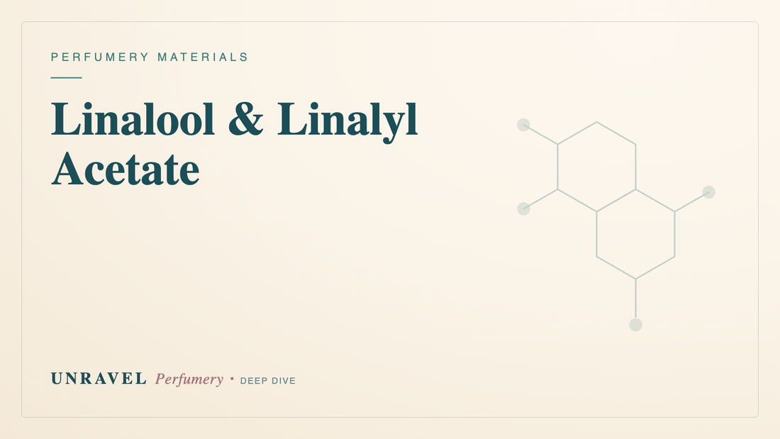 Linalool & Linalyl Acetate: The Soul of Lavender and Bergamot — Unravel Perfumery