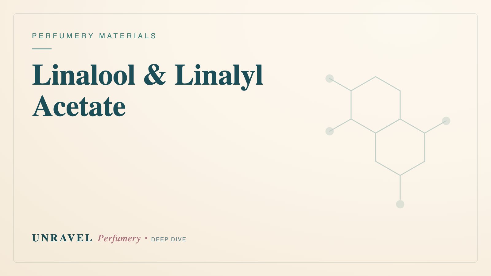 Linalool & Linalyl Acetate: The Soul of Lavender and Bergamot
