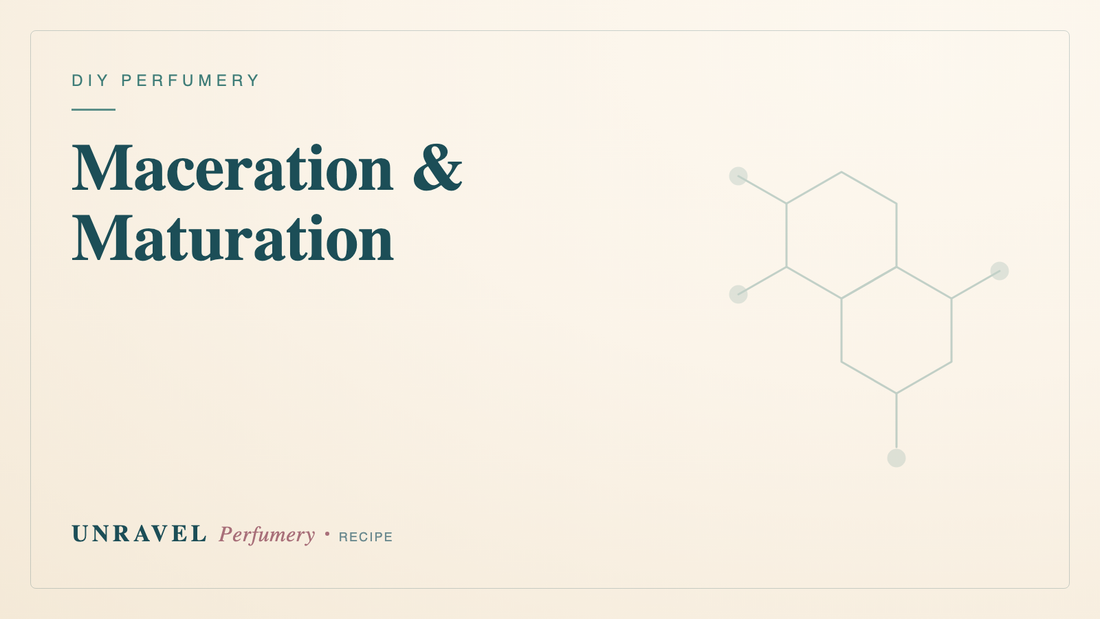 Maceration & Maturation: Why Perfume Needs Time to Rest — Unravel Perfumery
