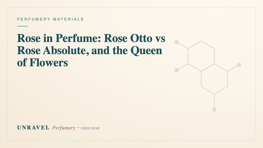 Rose in Perfume: Rose Otto vs Rose Absolute, and the Queen of Flowers — Unravel Perfumery