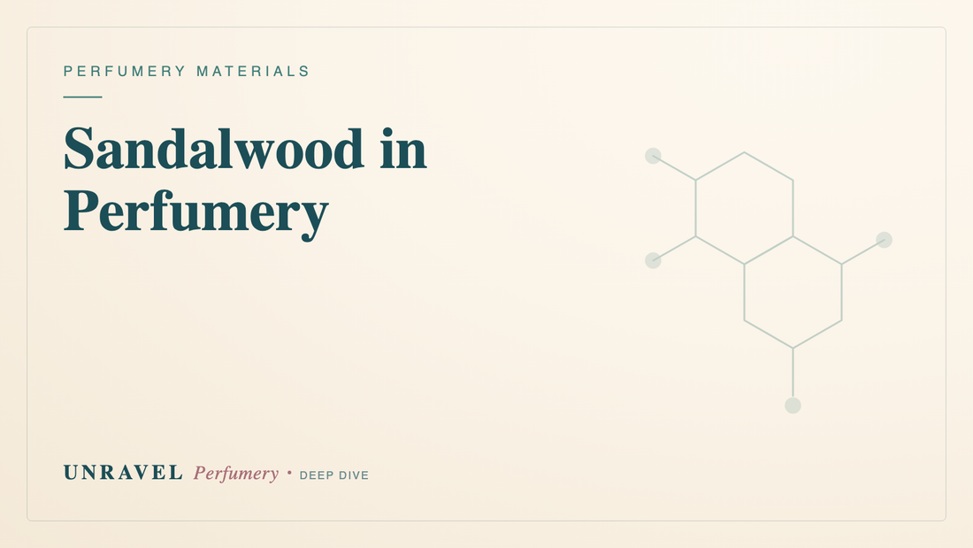 Sandalwood in Perfumery: Mysore, Australian & the Synthetic Sandalwoods — Unravel Perfumery