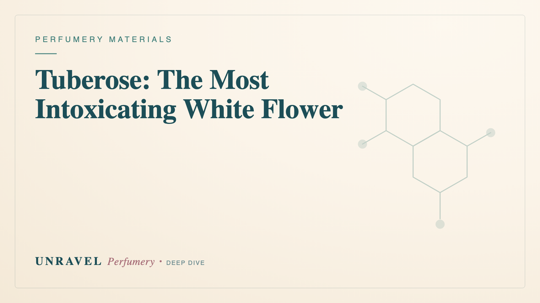 Tuberose: The Most Intoxicating White Flower — Unravel Perfumery