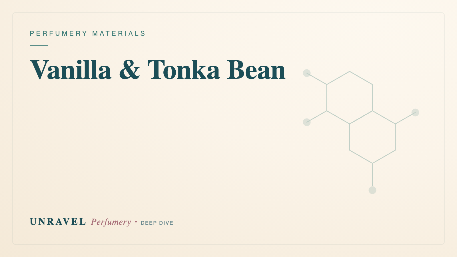 Vanilla & Tonka Bean: Perfumery's Most Comforting Naturals