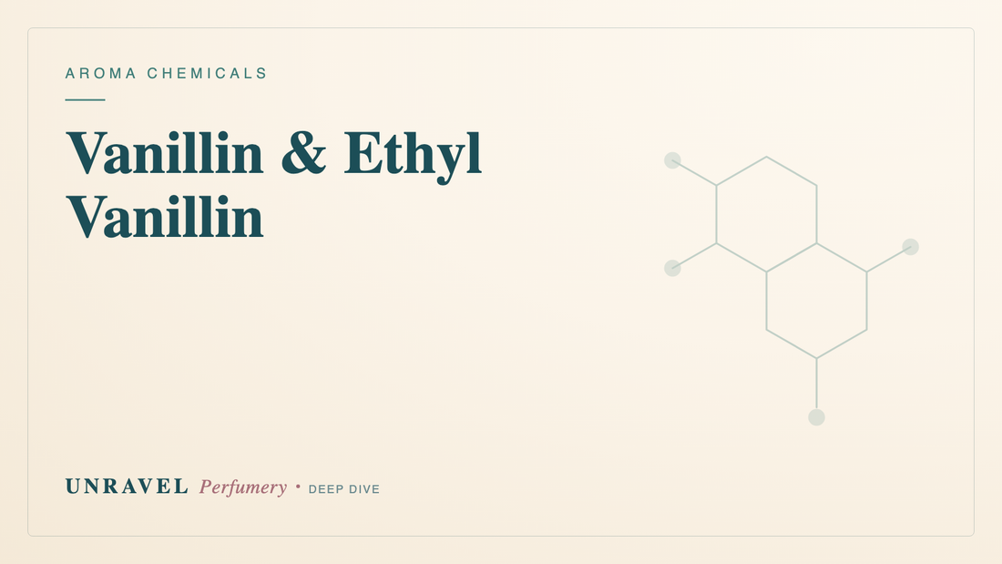 Vanillin & Ethyl Vanillin: The Sweet Backbone of Gourmand Perfumery — Unravel Perfumery