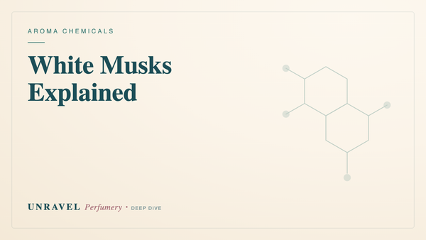 White Musks Explained: Galaxolide, Habanolide & the Clean Skin-Scent Magic